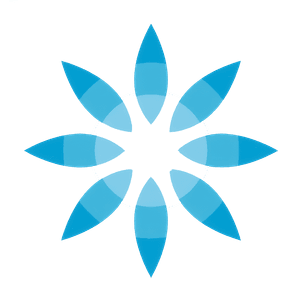 Invisalign clear aligners logo